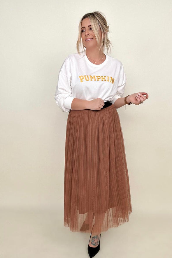 Mesh Pleated Maxi Skirt-2 Colors