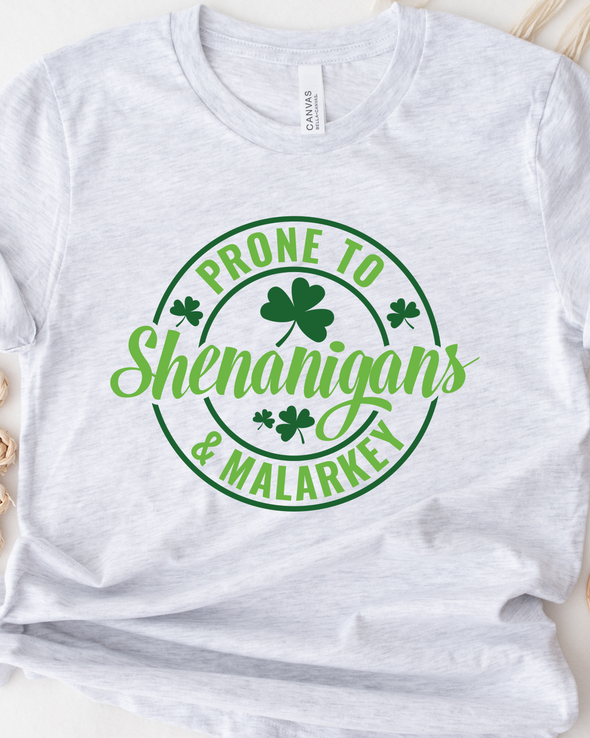 Prone To Shenanigans T-Shirt